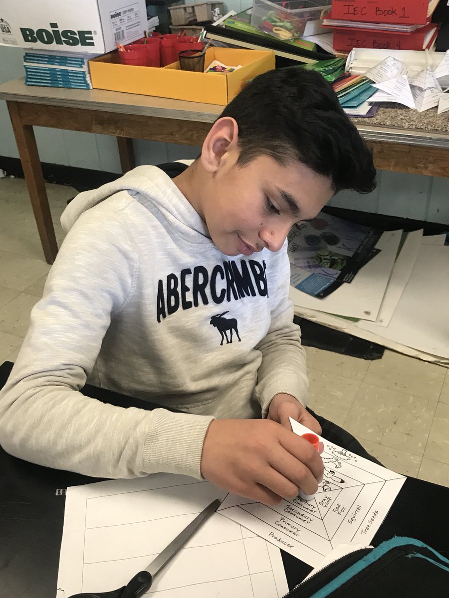 amybminton's tweet photo. Making energy pyramids to model how energy is passed through an ecosystem. @TollisonTeaches @smgaillard #LMSNewDay https://t.co/7j07aZeks5