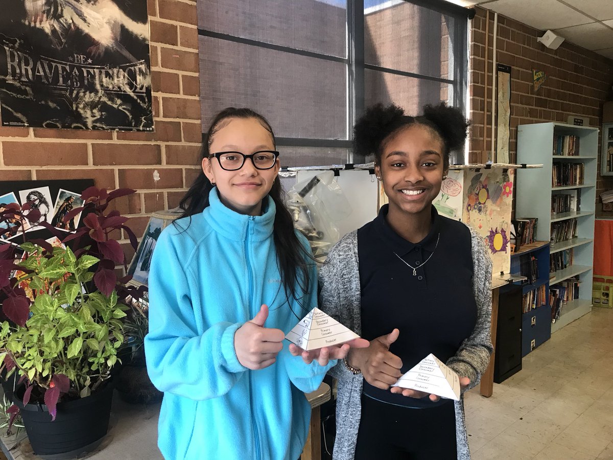 amybminton's tweet photo. Making energy pyramids to model how energy is passed through an ecosystem. @TollisonTeaches @smgaillard #LMSNewDay https://t.co/7j07aZeks5