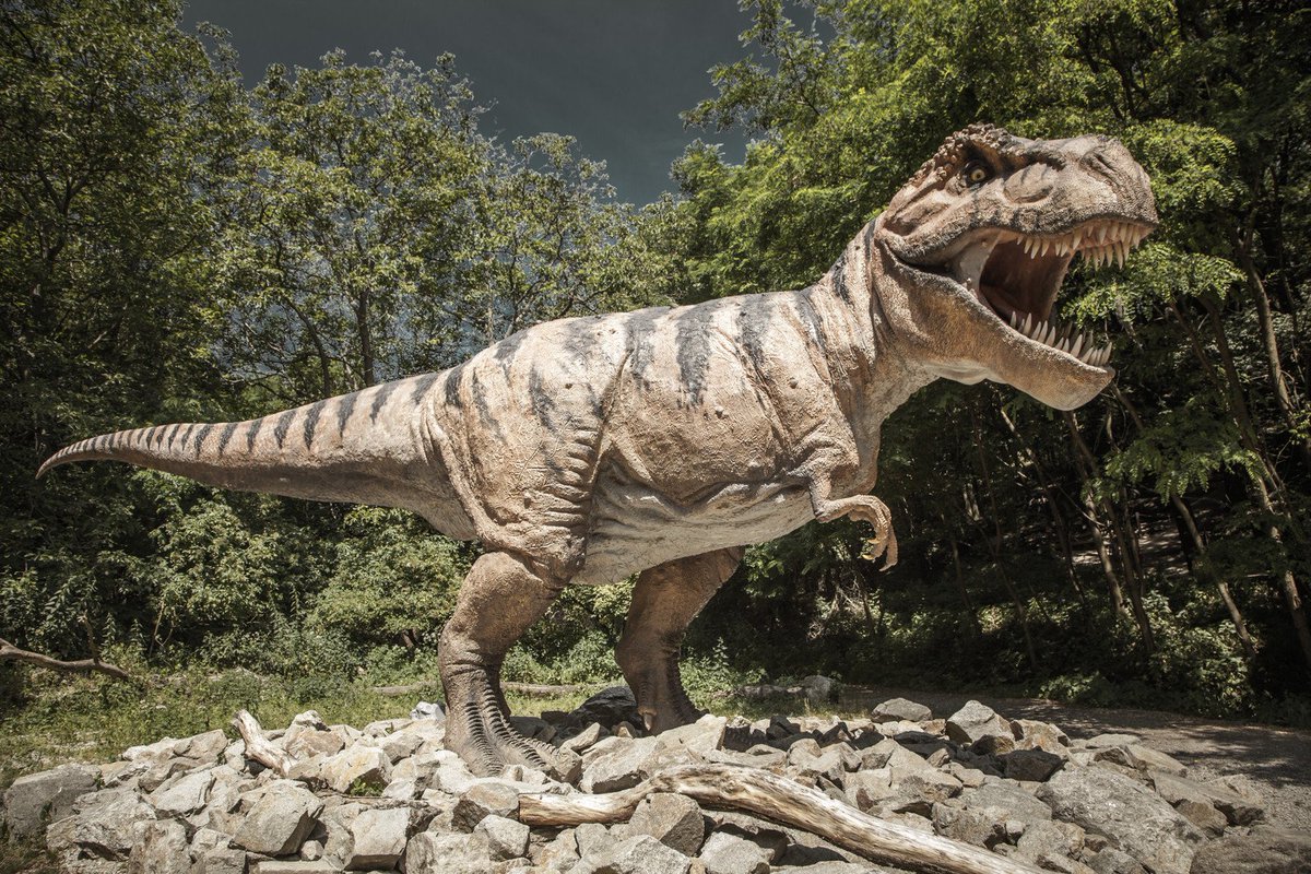 AAmendtPest's tweet photo. #FunFactFriday:Did you know that fossils show that cockroaches were around before dinosaurs? https://t.co/vuaNldxPPd