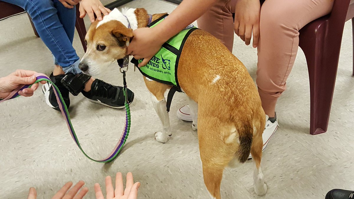 somethingtoadd's tweet image. Therapy dogs at Gardner Betts, it was a wonderful visit! Thank you @divinecanines, Mia &amp;amp; Dixie were just what these boys and girls needed 😊 ...see you again soon!