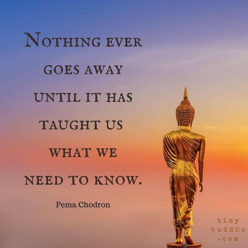 "Nothing ever goes away until it has taught us what we need to know." ~Pema Chodron