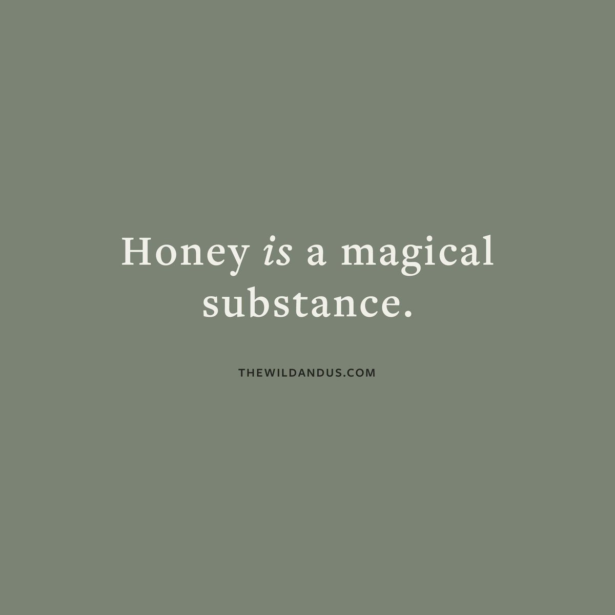 thewildandus's tweet photo. Who agrees? 🙋🏼‍♀️✨ #honey #wellness https://t.co/oTzWl9RBom