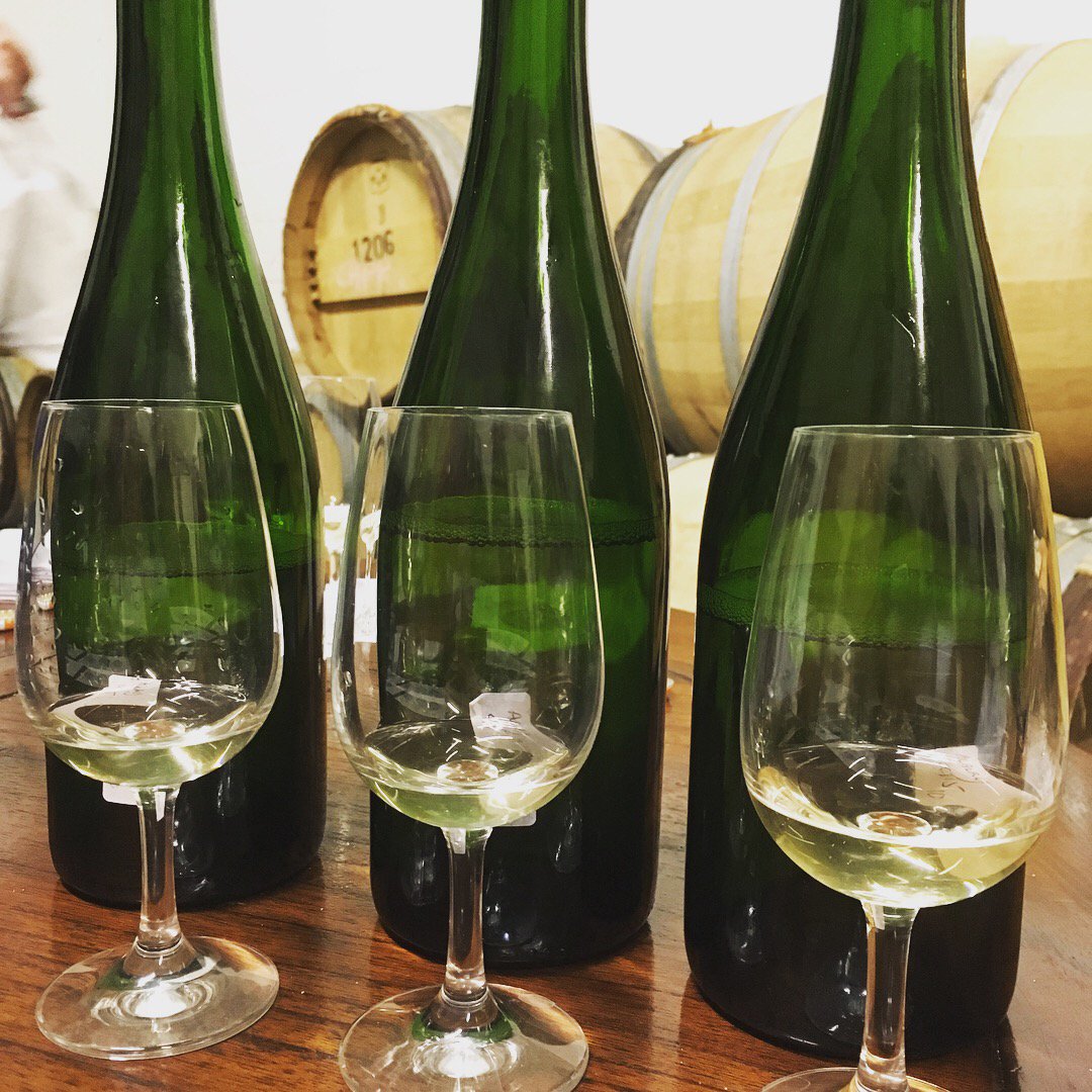 AlburyVineyard's tweet image. Dosage tasting our first #traditionalmethod #biodynamic #sparklingwine, a 2013 Blanc de Blancs. Aromas of hay and honey, this is going to be a special one... #englishwine #biodynamicwine