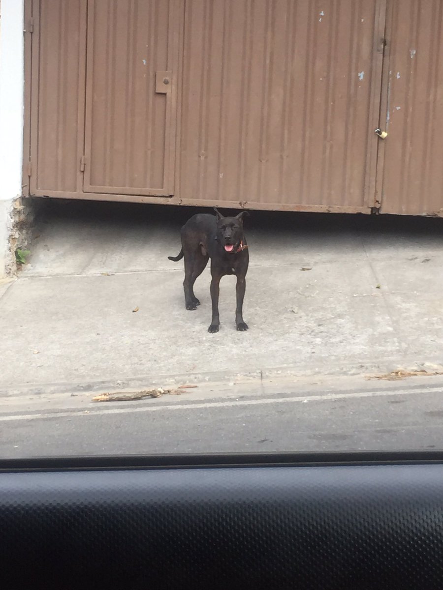 WinnieAngulo's tweet photo. Perdido en Escazú centro https://t.co/yomtb5WnrD
