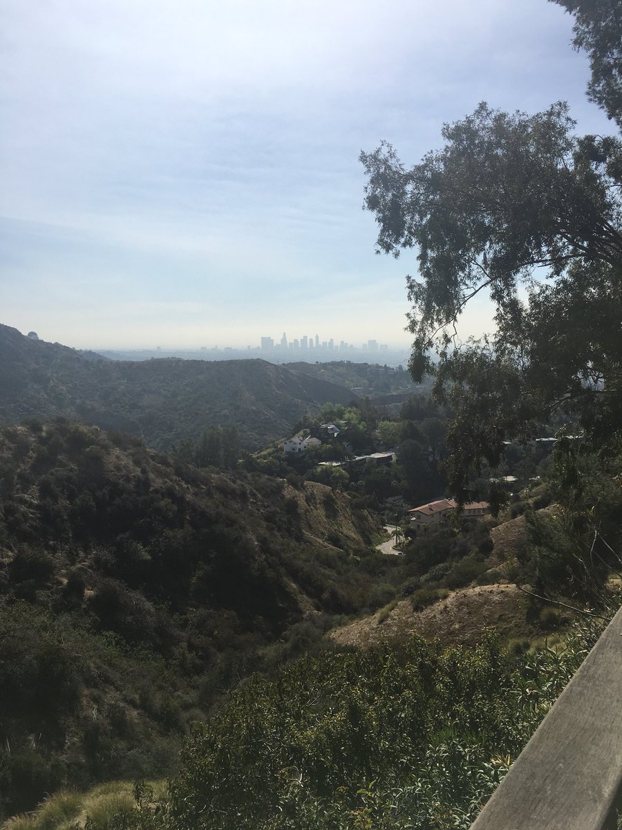 Angelamorr2018's tweet photo. Good morning LA ❤️❤️ https://t.co/5uMyFHWIbE