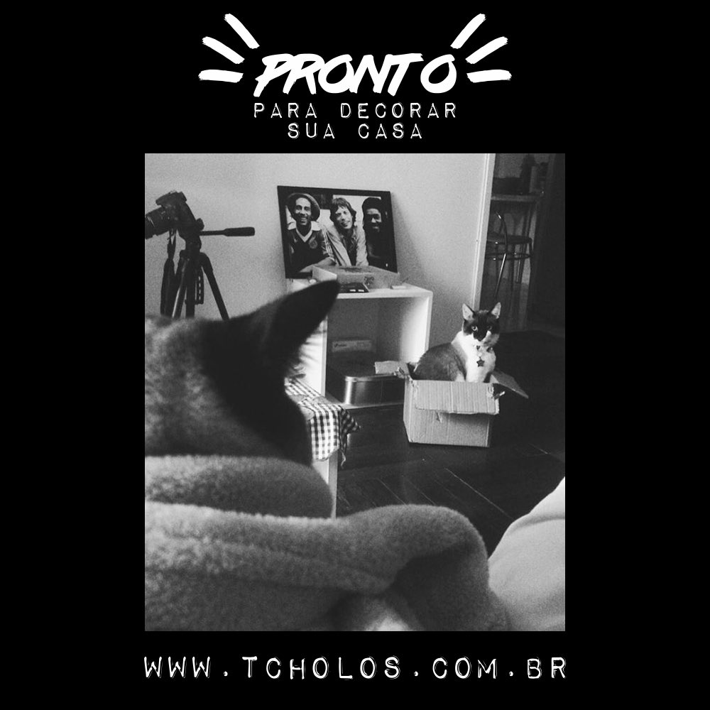 lojatcholos's tweet photo. Os quadros mais baratos do Brasil, frete grátis e se pagar no depósito bancário ainda ganha um descontaço. Vem pra Tcholos! https://t.co/0QtTSmKgun