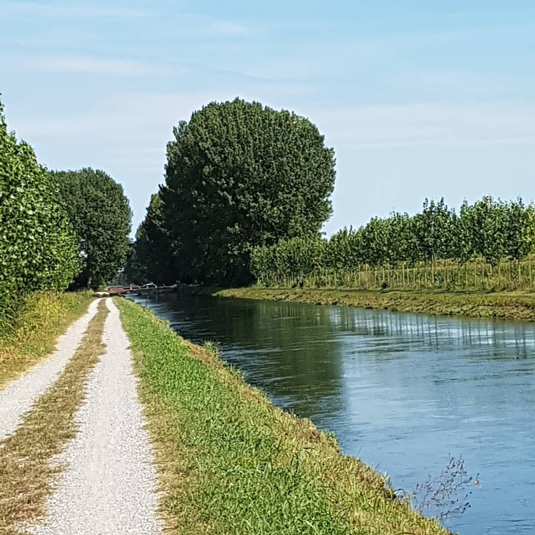 fllibossi's tweet photo. Se volete passare una giornata in totale #relax percorrendo e visitando i luoghi dove sono state girate le scene del film da #oscar #chiamamicoltuonome passate a noleggiare una #ebikes #ebike #bipa https://t.co/lBtJko4sAE