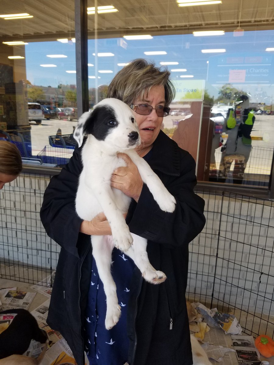 PetSmart Mandeville tweet media