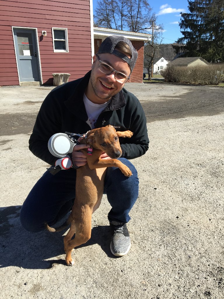 getwithtipsy's tweet photo. Have y'all met the new member of the #TipsySocial family? Say hi to Abby, a rescue from #HVARS in Pleasant Valley, NY. #getwithtipsy #wehavedogs https://t.co/Blirc6erxv
