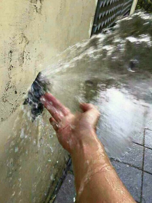 hugaodog's tweet image. queria ta assim com 'ela'