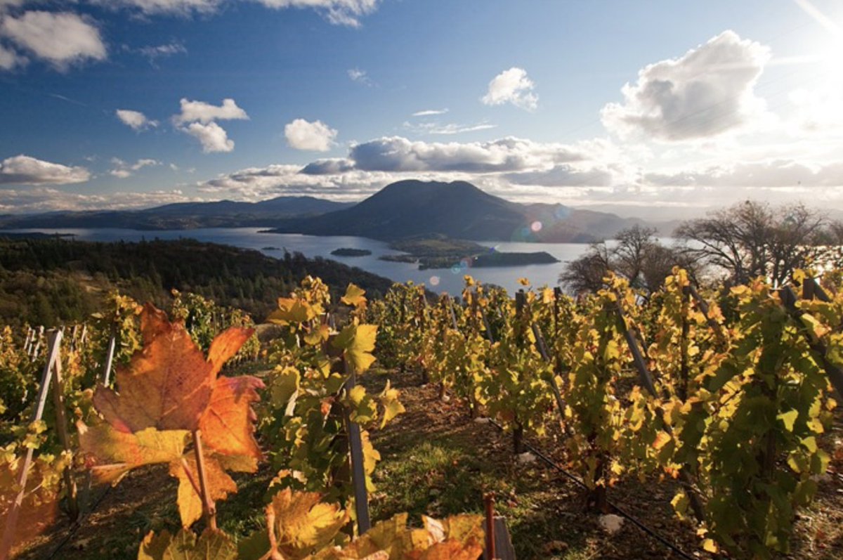 Our brand of #WineCountry is one of the fastest growing in the country. We offer over 35 #wineries on 9,000+ acres of #vineyards: bit.ly/2xtKXmQ