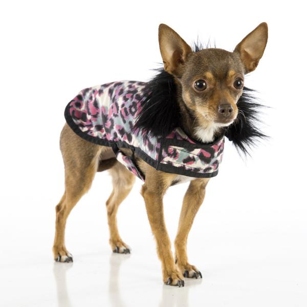 pushpushi's tweet image. The weekend is here!  It's time to dress up your pup in one of our sophisticated coats!  And cute too.. check out all the styles: bit.ly/2EmQakG
