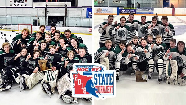 Cottage Grove Hockey On Twitter Send Off To State Please Join
