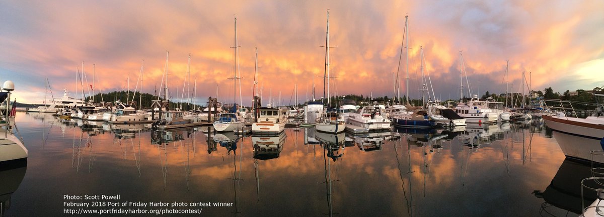 Port Friday Harbor tweet media