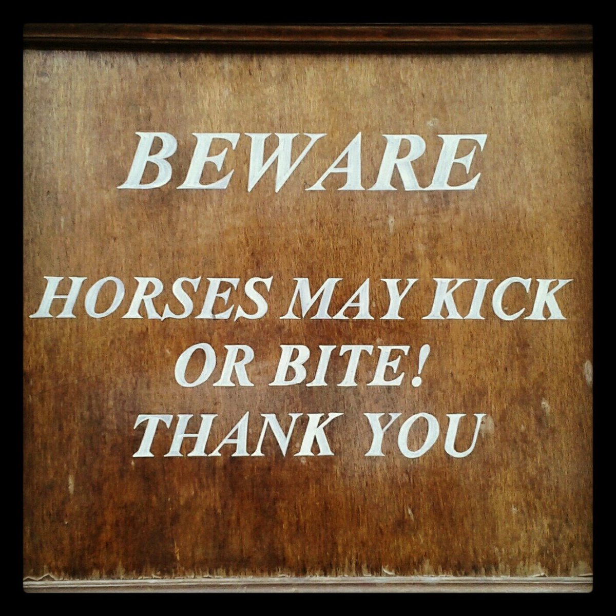 Beşiktaş <a href="/cafethales/">Thales Cafe&Bar</a> Bistro'da #SarhoşAtlarZamanı  🎧🎶