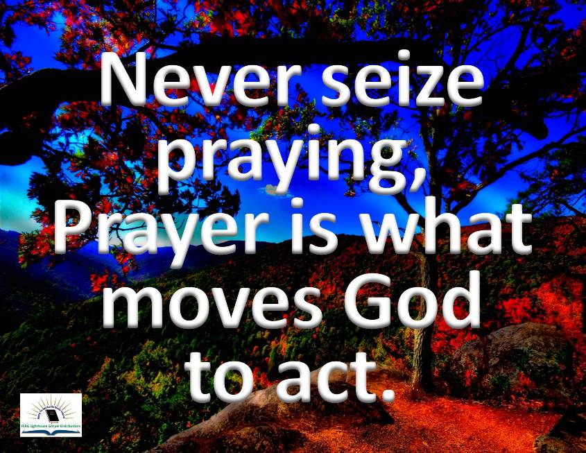 TheBiblePro's tweet photo. E-mail: lighthousegospeldistributions@gmail.com
Continue to access our Audiovisual Bibles here: https://t.co/0UqyEl9HQB https://t.co/ikpqTPloM6
