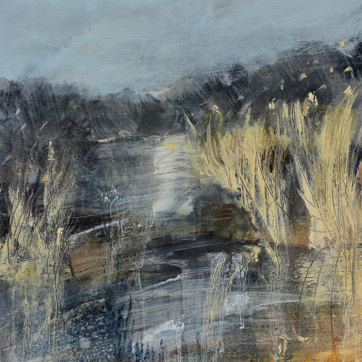 susiemonn's tweet photo. #colour_collective @Clr_Collective 
Winter Reeds have now turned #amber before they fade fully and new growth reappears.
#art
#lewes
#sussex
#sdnpa
#riverouse https://t.co/w84mdG6pnp