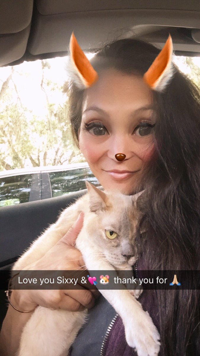 babycatnfriends's tweet photo. With great love I must tell you that BabyCat gained her Angel Wings overnight at home. She was loved by so many across the world, it’s humbling. I’m devastated, but rejoice knowing I was privileged to be her person. #BCtheAngel #LiveJoyously💔🌈🌉👶🐱 https://t.co/BkEZthEh60