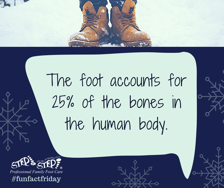 SBSFootCare's tweet photo. #funfactfriday #footfacts #amazingfeet https://t.co/2La6241sVT