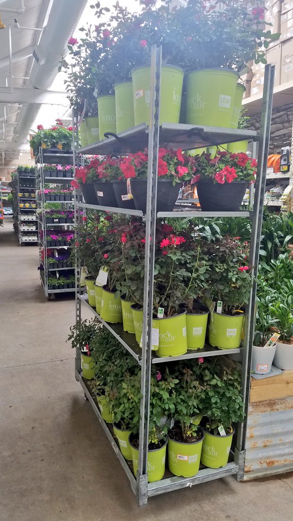 pauld_PBF's tweet image. Appreciate the support Carell and your team HD121 with the cold weather plant protection...
@freddyplants @JohnTuten2 @garydemarinis @PBFmedia @wachitgrow #whenitscold #warmup