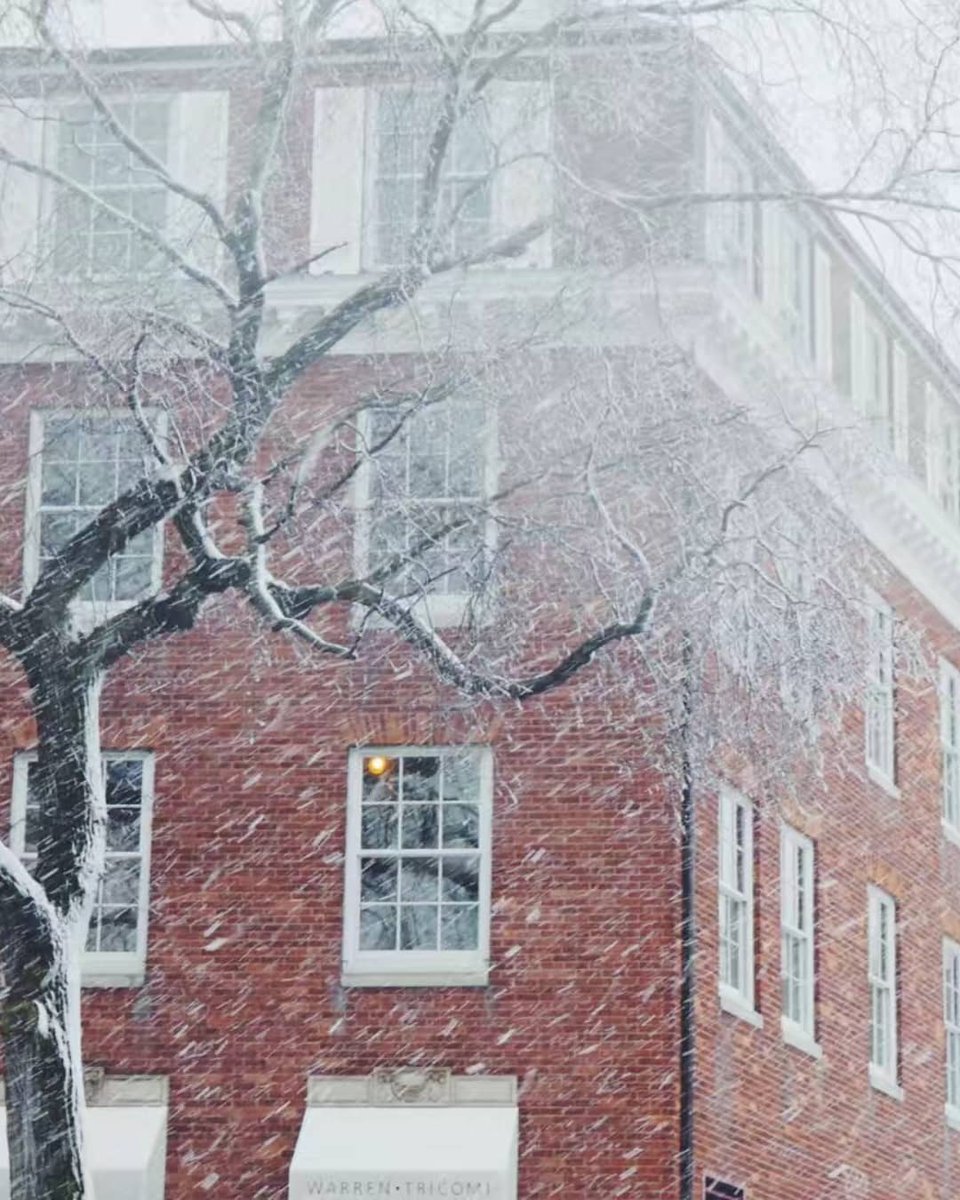 Qdlearn's tweet photo. California/New York
Do you prefer a flowery🌺 or snowy❄ March? https://t.co/faG22JTdCJ
