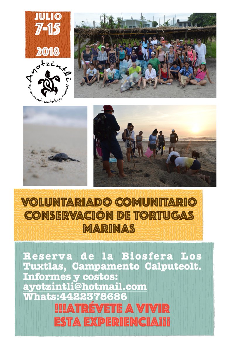 Vamos a tortuguear... Informes: ayotzintli@hotmail.com