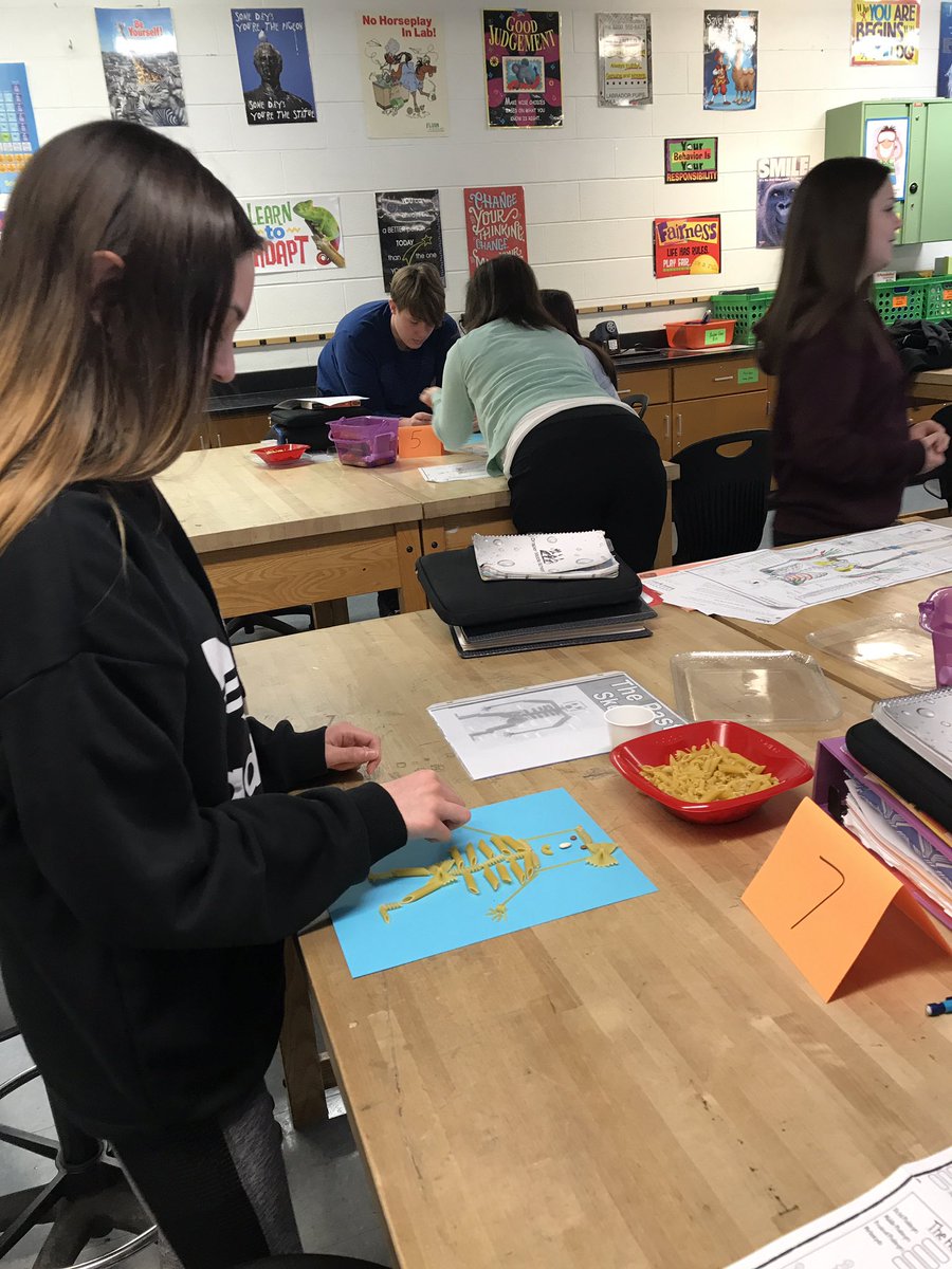 ScienceKeith's tweet photo. Just making some pasta skeletons for our journey through the human body systems! https://t.co/sCi8zNNPQF