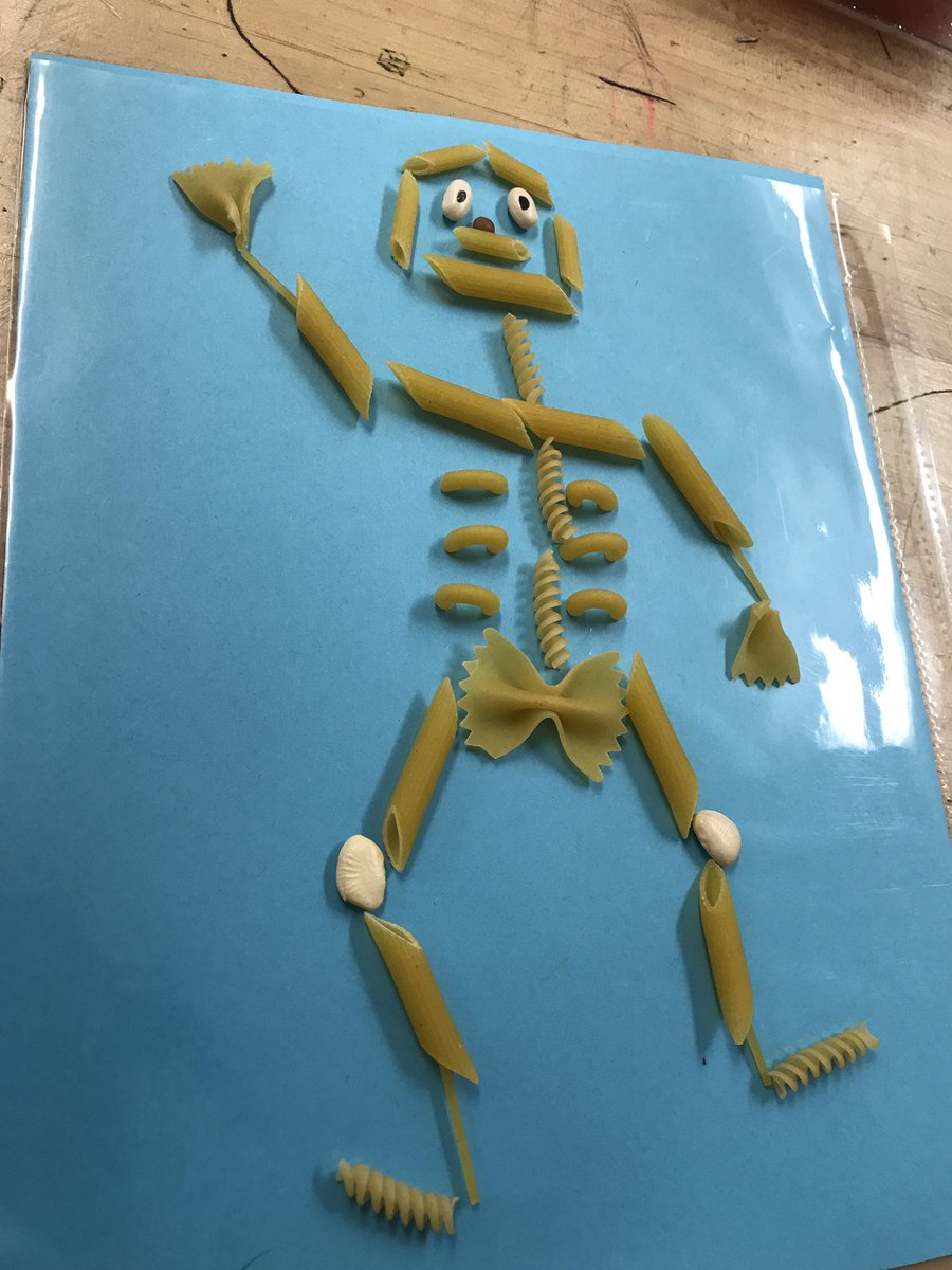 ScienceKeith's tweet photo. Just making some pasta skeletons for our journey through the human body systems! https://t.co/sCi8zNNPQF