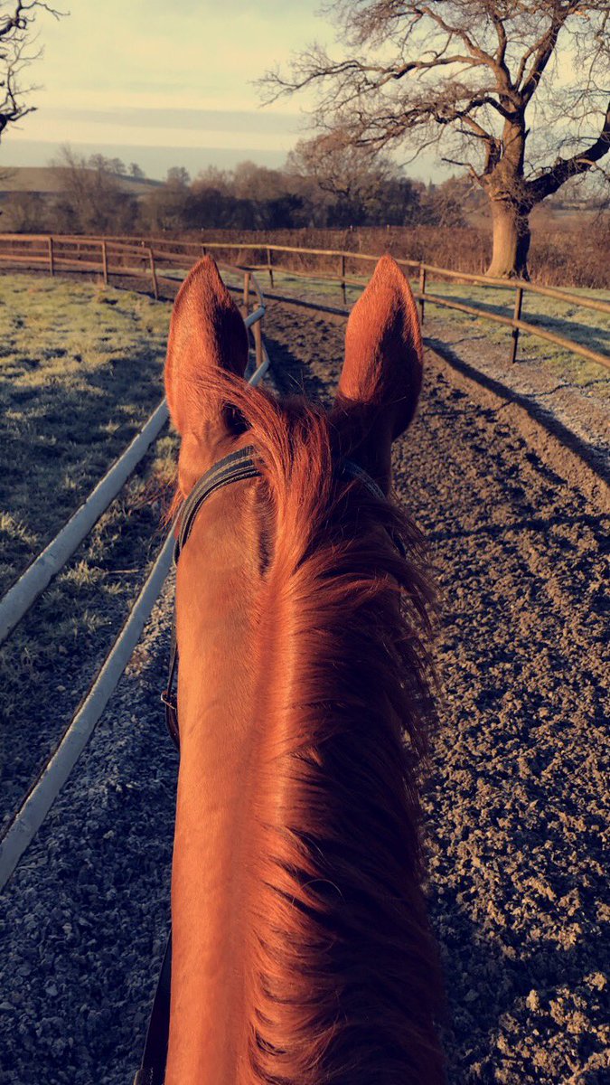 lisalitchfield's tweet photo. Love this view! Riding this ginge doesn’t feel like work #lastbutnotleast #bigmare https://t.co/kL0Rr1ApRu