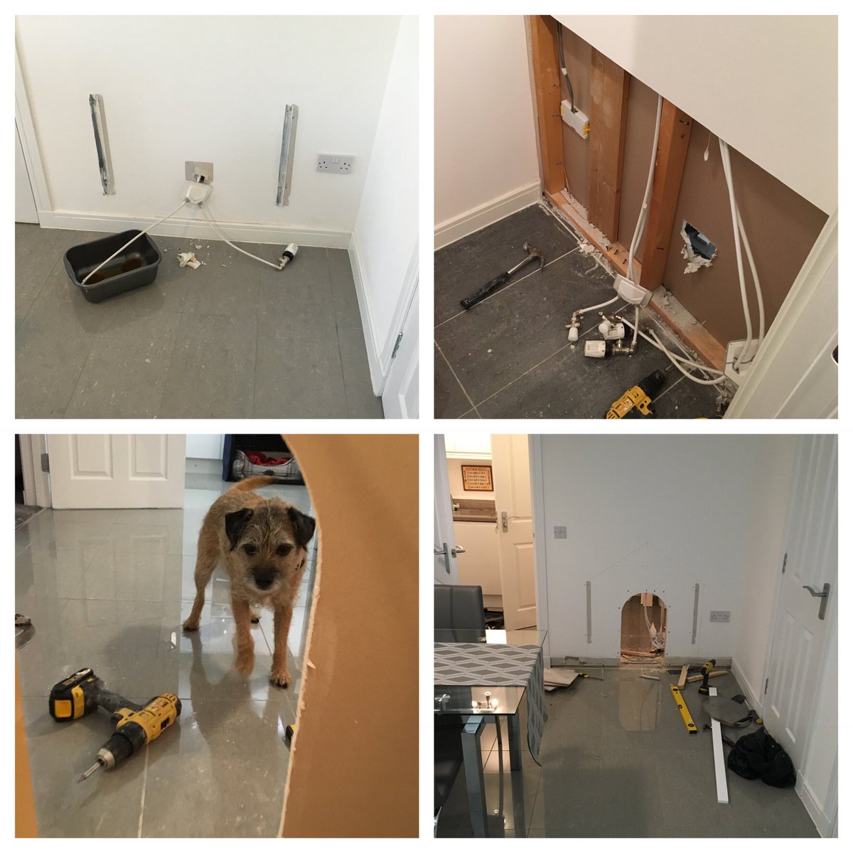 no1border's tweet photo. @lilyskitchen Hmm things like pulling your kitchen wall and downstairs toilet to pieces to make a bedroom for your dog #itsnotloopy https://t.co/Wfh3pqG2ZI