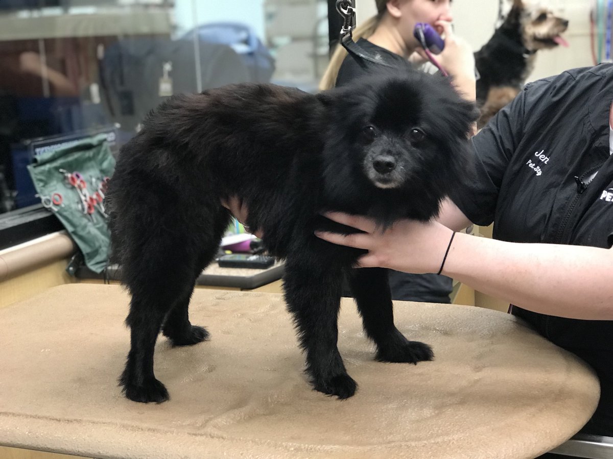 Mayslanding Grooming tweet media