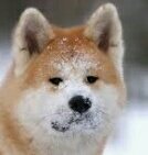 YaApelsinka's tweet photo. Почему меня читают такие псины [1], а не такие [2] ¿??¿? https://t.co/X8Phbu2UZy