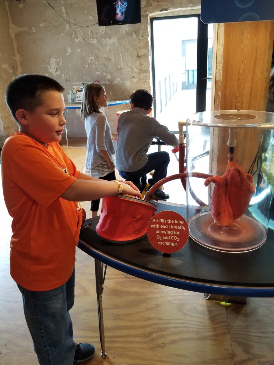 DeedsLori's tweet photo. From building an electrical circuit to pumping air into a real pig's lungs, our class LOVED the Science Mill. Thank you to all the parent volunteers and Johnson City @ScienceMill staff for helping to keep these students engaged and learning. #HLES https://t.co/grf2iUn4rj