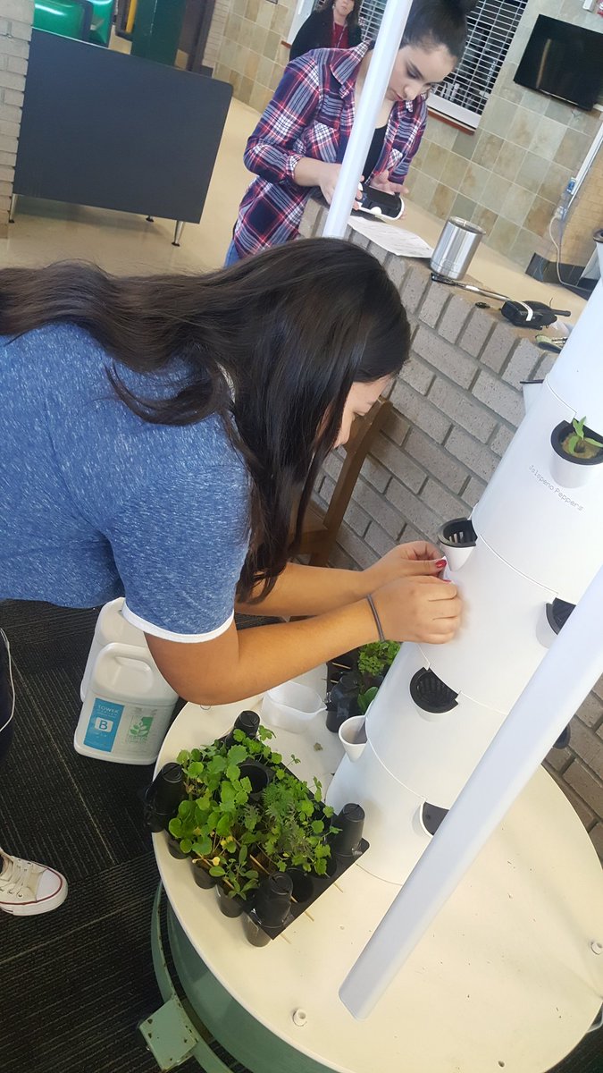 CCHS Urban Farming Club is up and growing! #growingourfuture