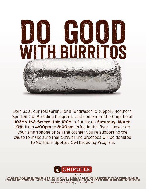 Northern Spotted Owl Breeding Program tweet media