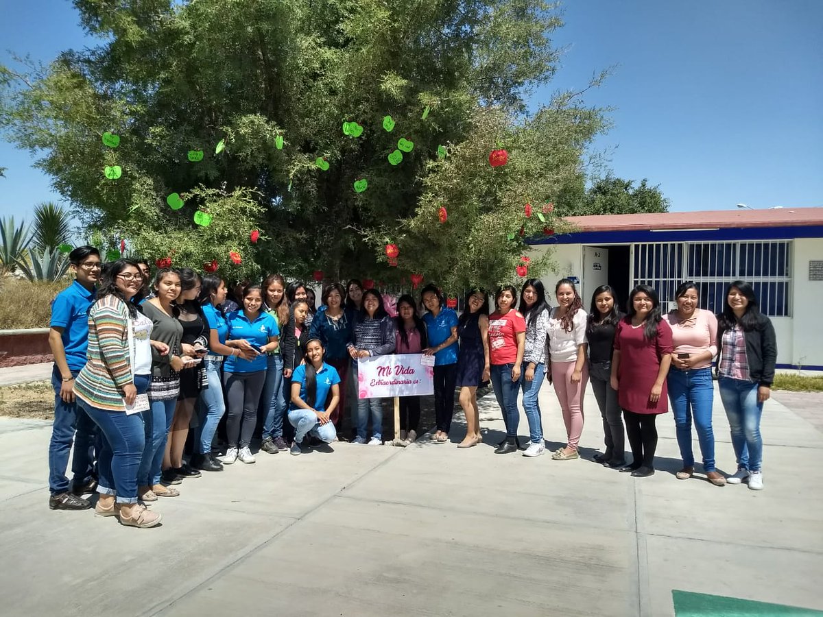 DFIDNormalesUPN's tweet photo. Alumnos de la Universidad Pedagógica Nacional Unidad 213 de Tehuacán. Felices por compartir la Actividad del Árbol de lo extraordinario.
@SEP_Puebla https://t.co/BTpoCxlHqq