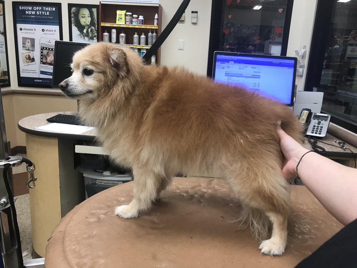 Mayslanding Grooming tweet media