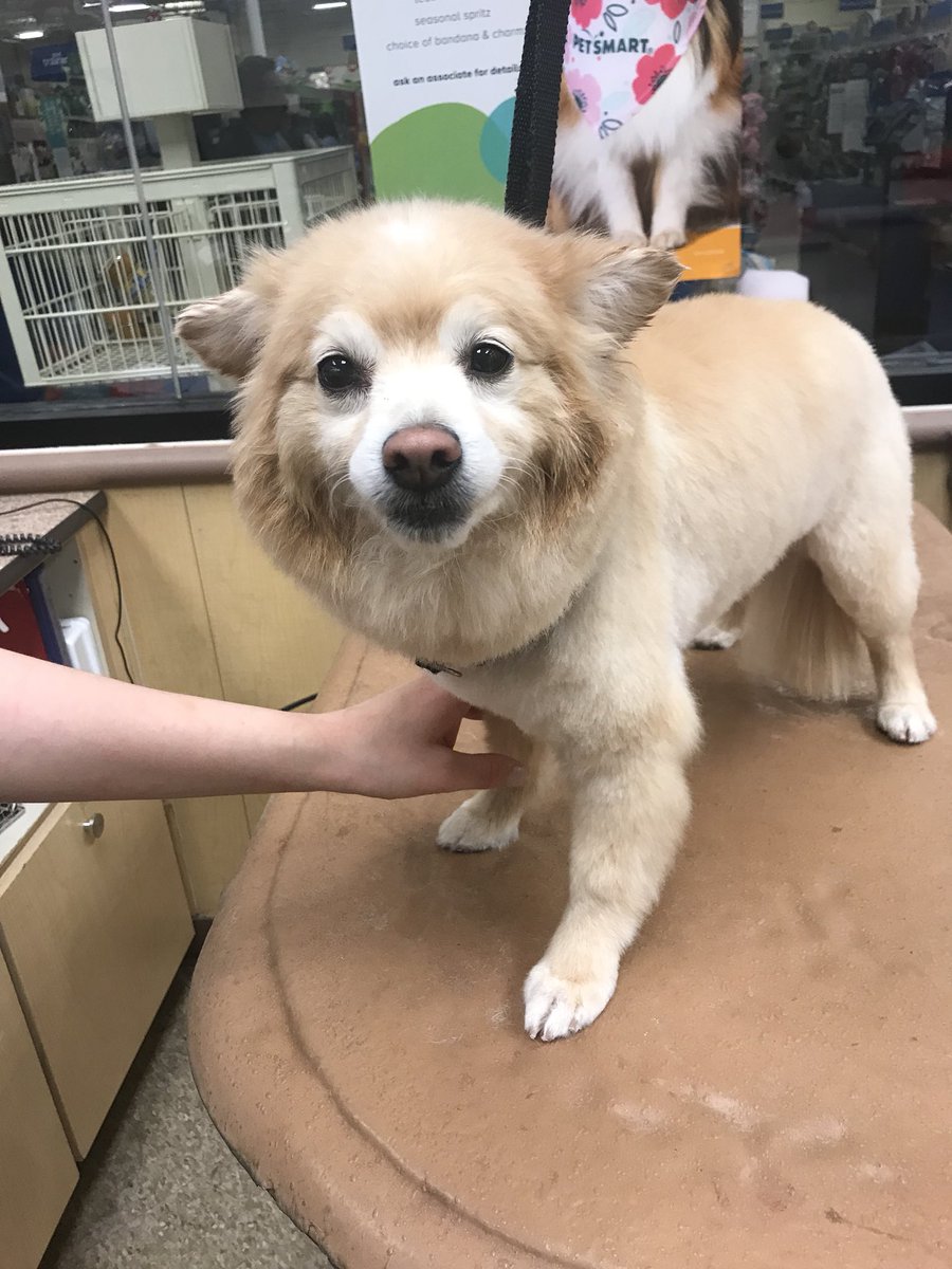 Mayslanding Grooming tweet media