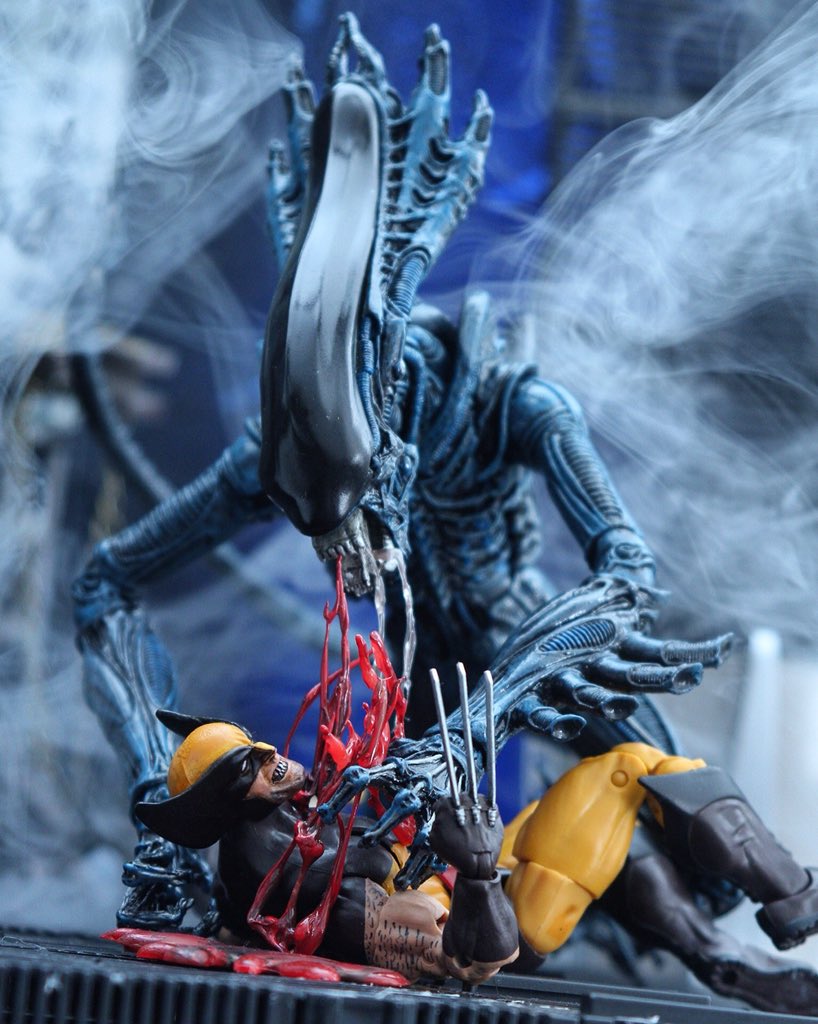 Dryl's tweet photo. Claw City!

#marvel #neca #marvellegends #wolverine #alien #xenomorph #gorillaalien #xmen #facehuggerfriday
@NECA_TOYS https://t.co/0s2D2OQnMf