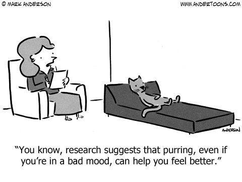What helps distract your cat when they are feeling grumpy?