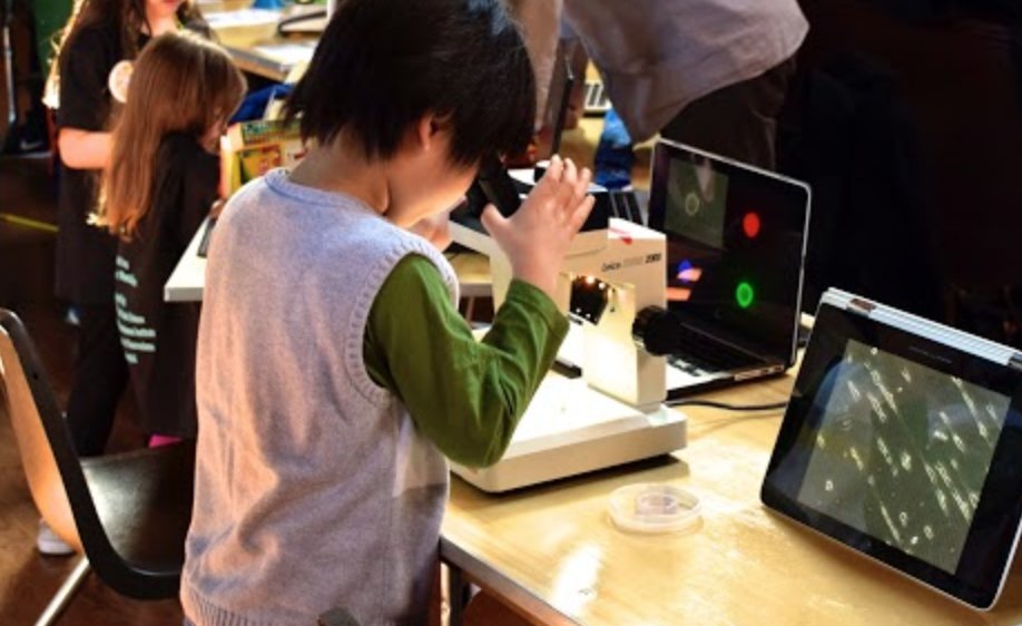 BrownUniversity's tweet image. Brain Week to bring brain-themed films, forums and fun to Brown news.brown.edu/articles/2018/… #brainweekRI