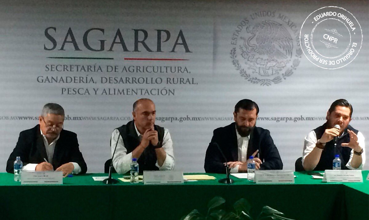 Lalo Orihuela tweet media