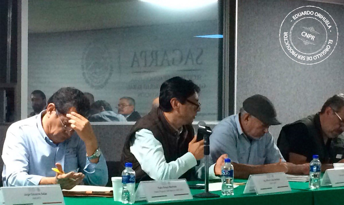 Lalo Orihuela tweet media