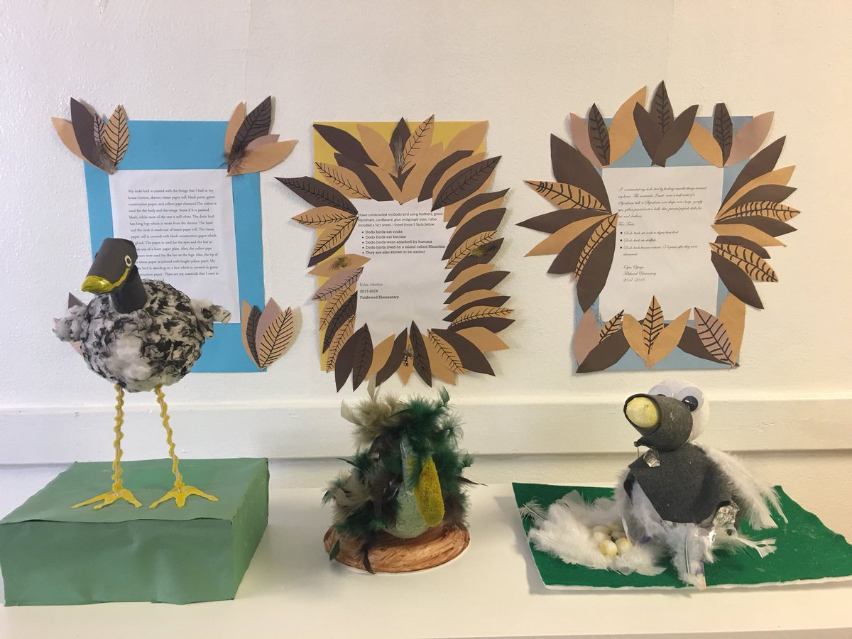 FCSTAG's tweet photo. An Unfortunate Misunderstsnding- Feldwood 3rd grade TAG students are sharing their learning about the DoDo birds @JeffRoseSupt @FultonCoSchools @FeldwoodES @teachingmuseum https://t.co/t79XEG8gCe