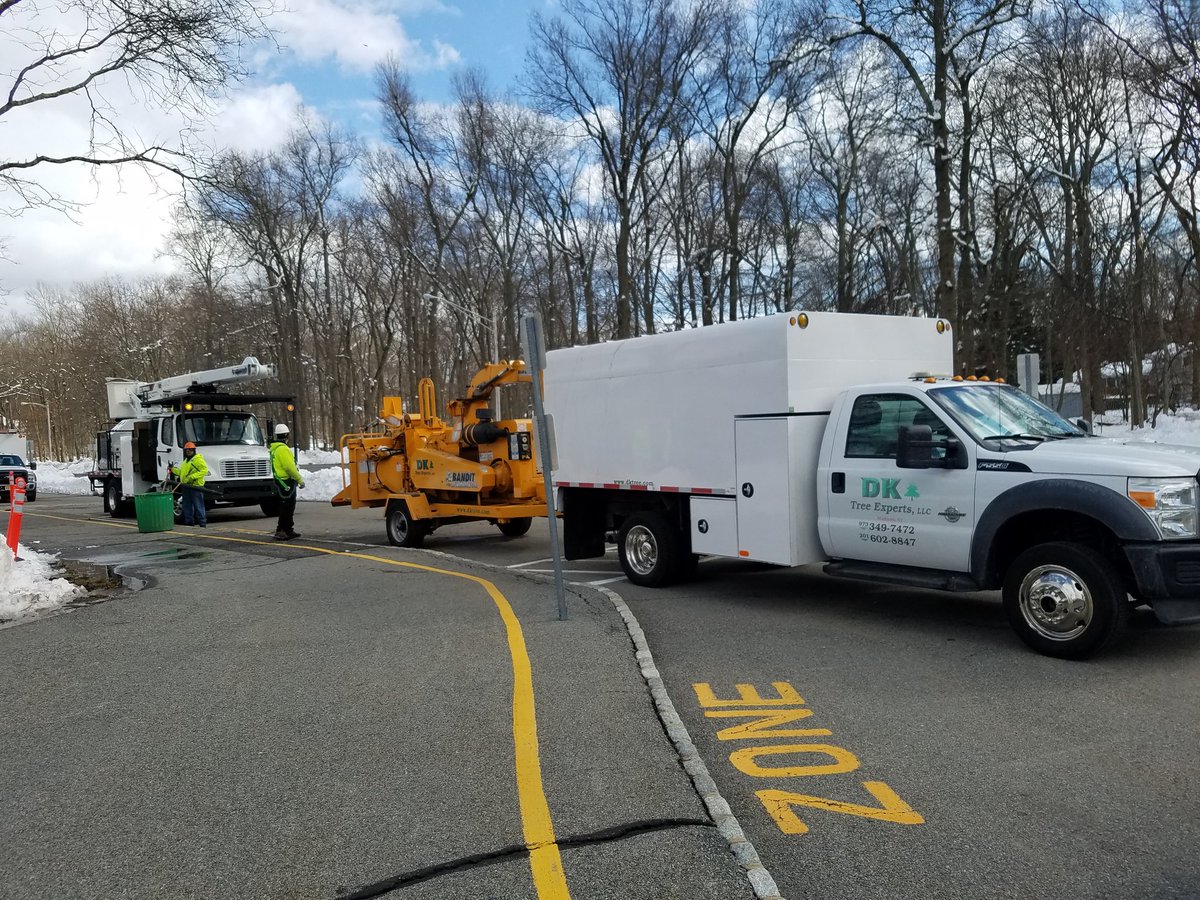 FlorhamParkSD's tweet photo. Damaged Limb removals #keepourschoolssafe #minisandy https://t.co/uIwhLupUm7