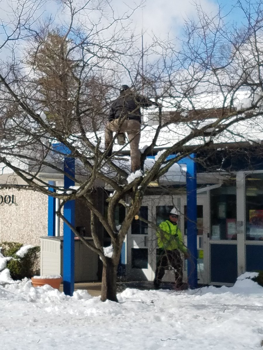 FlorhamParkSD's tweet photo. Damaged Limb removals #keepourschoolssafe #minisandy https://t.co/uIwhLupUm7