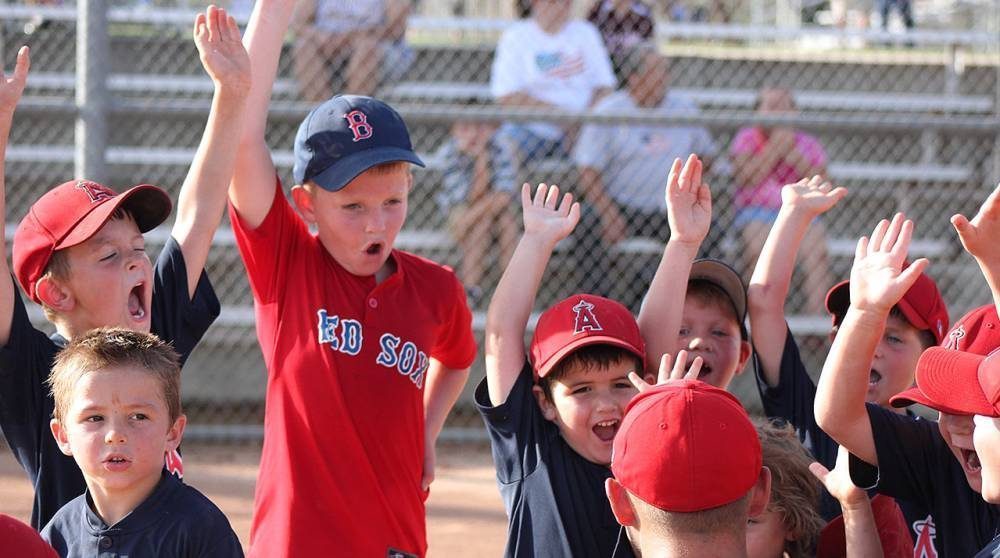 Little League tweet media