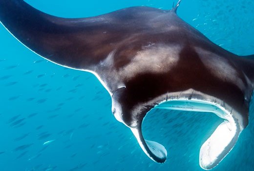 OMG - Gaming Events tweet media