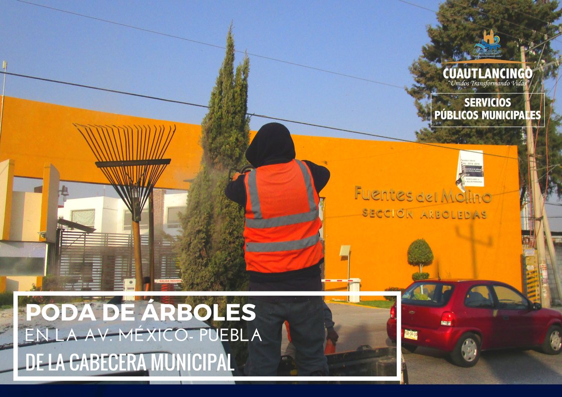 ObrasP042's tweet photo. La Cuadrilla de Parques y Jardines realizó la poda de árboles, ubicados en el camellón central de la Av. México Puebla. ¡Contribuye a mantener en buen estado las áreas verdes! #SPMCuautlancingo #Cuautlancingo https://t.co/vNJxzNfNgV