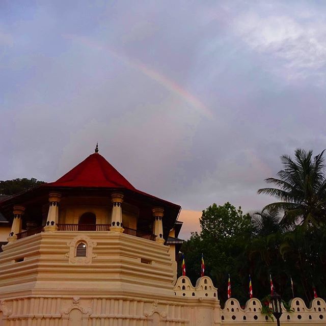 FlyingFluskey's tweet photo. A rainbow over the Temple of the Tooth in Kandy
______________________
#kandy #kandysrilanka #srilanka #srilankatravel #templeofthetooth #kandytemple #kandytempleofthetooth #rainbow #🌈 https://t.co/D5bd4IKMni https://t.co/kSw9w8XgM1